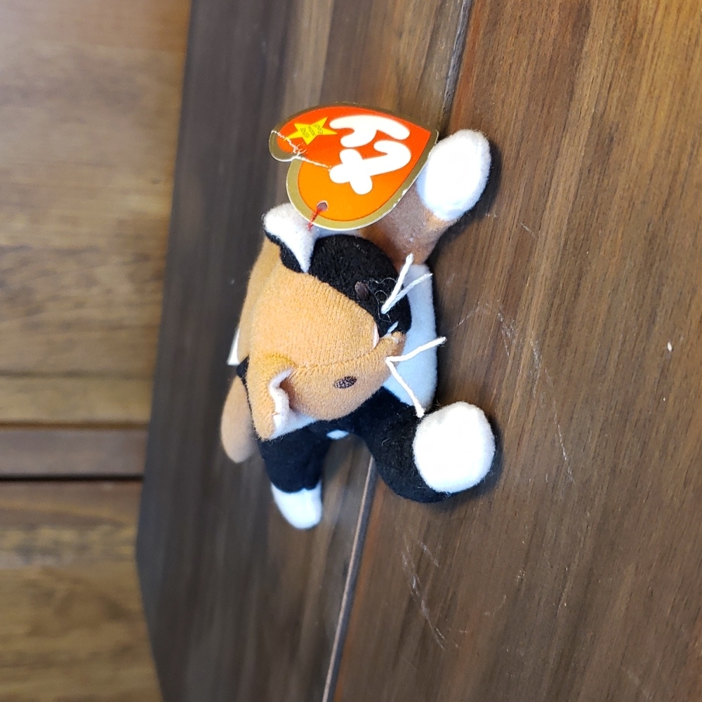 Ty NWT CHIP The Cat Teenie Beanie Baby